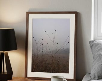 Fotografía de Niebla Minimalista, Lámina Campo de Invierno, Arte Botánico Silvestre, Cuadro de Ramas Secas y Bruma, Decoración Nostálgica.