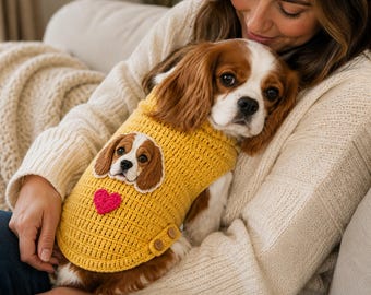 Paquete de patrones de ganchillo para suéter de perro, aplique personalizable, tallas S-M-L-XL (descarga en PDF)