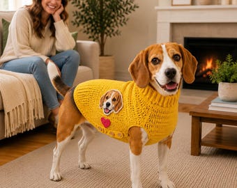 Pacchetto di modelli per maglioncino all'uncinetto per cani, con applicazioni personalizzabili, taglie S-XL (download PDF)