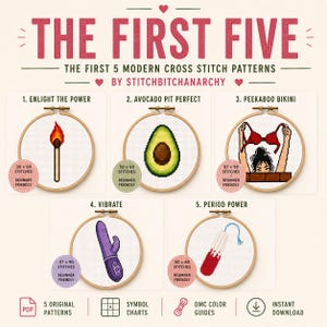 Op de afbeelding: Een verzameling van vijf moderne kruissteekpatronen getiteld THE FIRST FIVE BY STITCHBITCHANARCHY. De ontwerpen bevatten een brandende lucifer, een avocado, een persoon met een rode bikini, een paarse vibrator en een tampon in borduurringen.