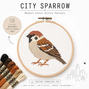 City Sparrow Cross Stitch Pattern PDF | Modern Bird Embroidery Pattern | Urban Birds | Instant Download | Beginner Friendly | DMC Pattern
