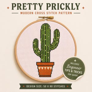 Pretty Prickly Cross Stitch Pattern | Modern Cactus Embroidery PDF | Easy Beginner Friendly Design | Instant Download | 14ct Aida