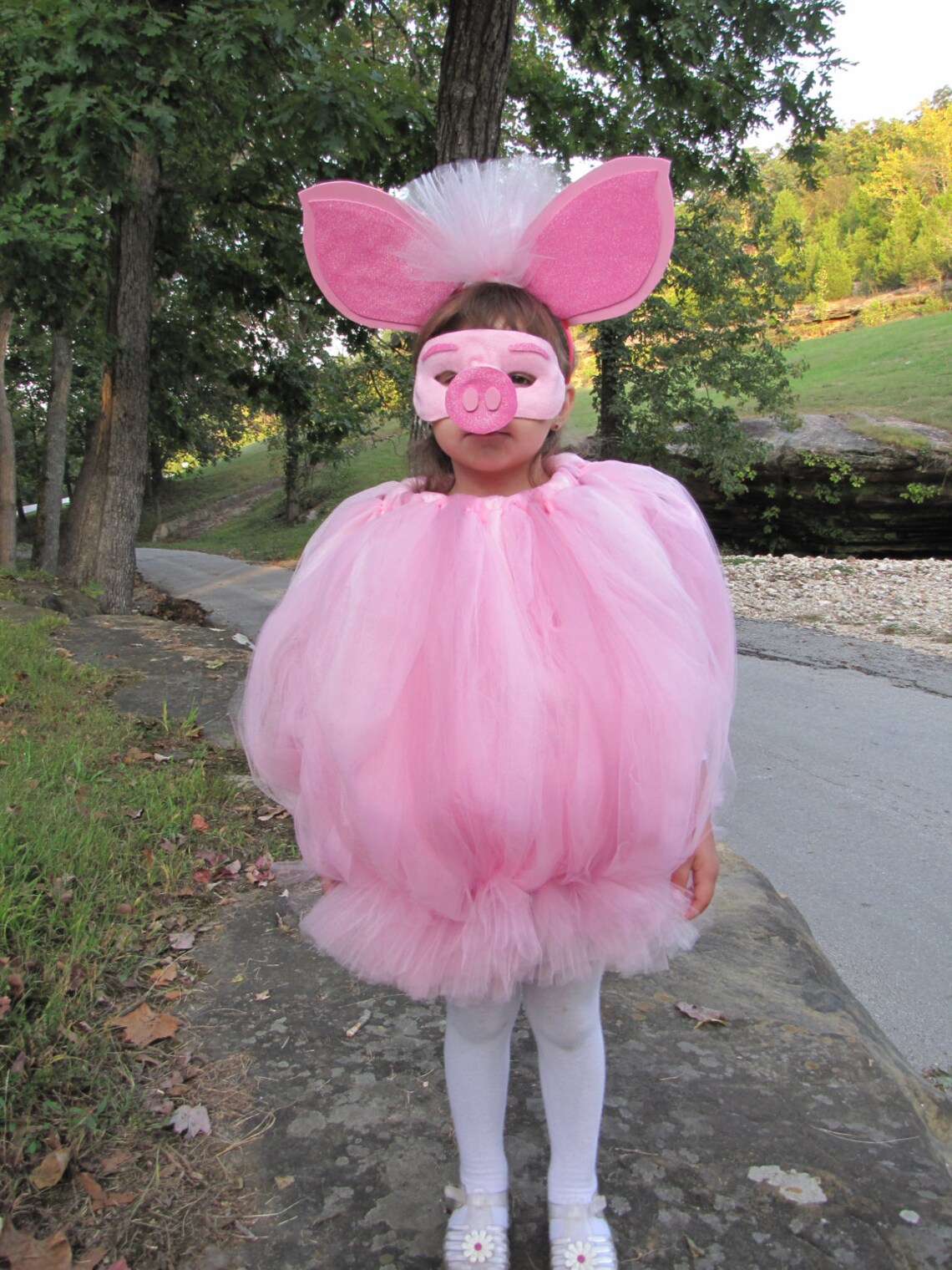 Pig costume Pig Pig Tutu Pig Tutu Dress Tutu Costume Etsy