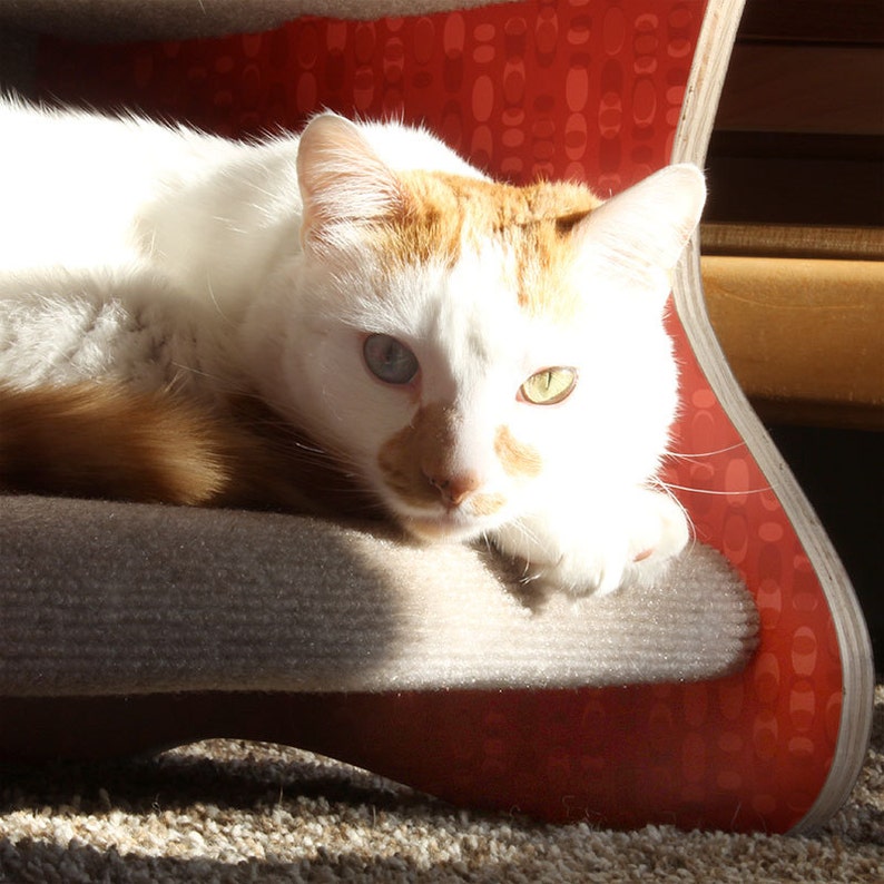 Cool Cat Furniture Architecturally Inspired Googie Cat Bed Etsy