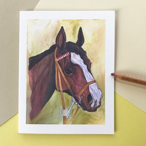 Horse Notecards| Blank Horse Cards| Bay Horse Blank Cards| Blaze Horse Notecards| Blank Horse Notecards| Cards for Horse Lovers| Bay w Blaze
