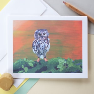 Owl| Birthday Cards| Owl Birthday Cards| Birthday Cards for Him| Birthday Cards for Her| Greeting Cards| My Sentiments Exactly