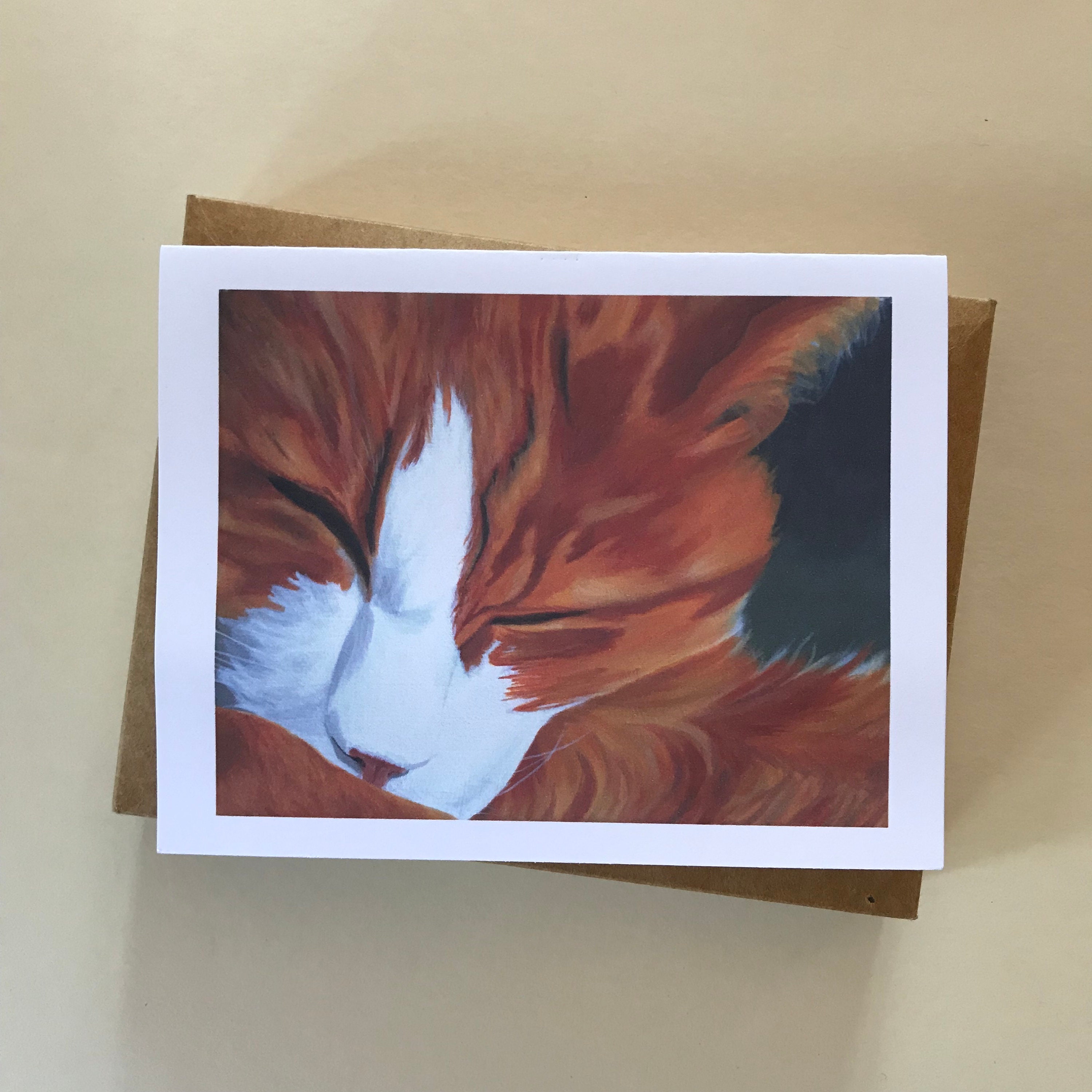 NobleWorks Weihnachtskarten Mit Katzen-Motiven – 10 Verschiedene Karten Inkl. Umschläge – Witzig & Liebevoll