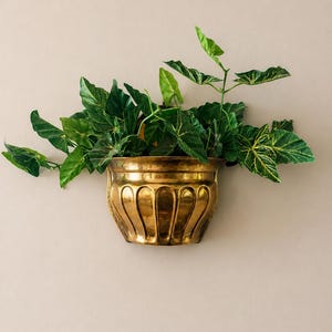 Puede incluir: Una maceta de pared de latón pulido con forma semicircular y detalles estriados verticales. El recipiente de metal dorado contiene un exuberante arreglo de follaje verde con hojas puntiagudas que se desbordan por los bordes curvos.