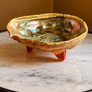 May include: A decorative bowl crafted from a natural abalone shell with an iridescent, multi-colored interior surface. The shell features a rough, textured exterior and is supported by three small, translucent amber-colored resin feet.