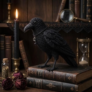 May include: A black crocheted raven figurine standing on two stacked antique books. The raven features a small silver-toned crescent moon pendant around its neck. The bird has textured yarn feathers, a pointed beak, and dark eyes, positioned in a library setting.