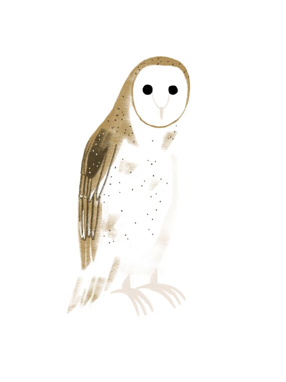 Owl Alien Illustration Art Print Etsy