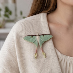 Moth Brooch - Etsy