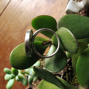 ring aan de zon knop afbeelding 5