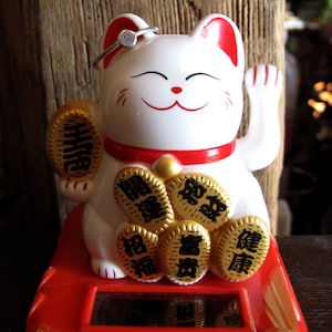 Pu&ograve; includere: Figurina di gatto in ceramica bianca con un collare rosso e monete d'oro sulle zampe. Il gatto tiene una moneta d'oro con caratteri cinesi. Il gatto &egrave; seduto su una base rossa con un bordo dorato.