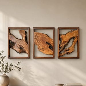 May include: Three rectangular wall art pieces featuring natural, irregular pieces of light brown wood with dark bark edges, each encased in a dark brown wooden frame. The wood displays visible grain patterns, knots, and organic, jagged shapes.