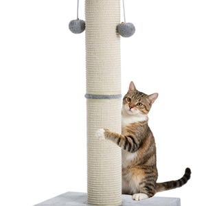 Puede incluir: Un rascador para gatos con una columna cilíndrica alta envuelta en cuerda de sisal beige, rematada con una plataforma circular de felpa gris. Dos juguetes de pompón de felpa gris cuelgan de cuerdas blancas sobre una base cuadrada gris.