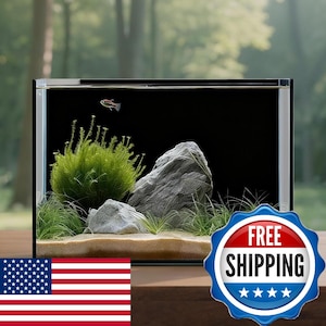 May include: A rectangular glass aquarium featuring a black background, a light-colored sandy substrate, two grey textured rocks, and a vibrant green aquatic plant. A single small fish with a horizontal red stripe swims in the upper left area.