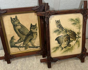 Pair of Vintage Carved Floral Leaf Wood Frames one with gold inlay Includes John James Audubon’s Birds of America Owl 8x10” Prints