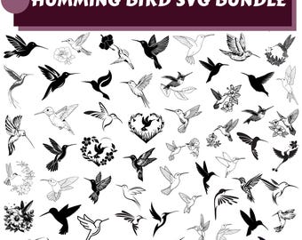 Paquete de imágenes SVG de colibríes: Ave con flores, siluetas e imágenes prediseñadas, naturaleza (descarga digital)