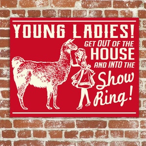 Llama Sign Alpaca Show Girl Sign
