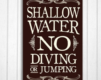 May include: A brown sign with white text that reads "Shallow Water No Diving or Jumping". The sign has decorative flourishes around the edges.