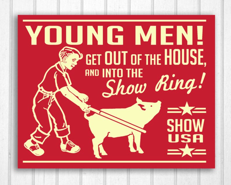 May include: A red poster with cream text and illustrations. The text reads "YOUNG MEN! GET OUT OF THE HOUSE, AND INTO THE Show Ring!" A drawing depicts a person leading a pig. The poster also includes "SHOW USA" and stars.
