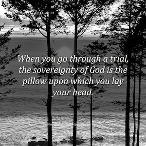 Könnte beinhalten: Ein Schwarz-Weiß-Landschaftsfoto mit hohen, silhouettierten Kiefern vor einer Küstenlandschaft. Der zentrierte Text lautet: When you go through a trial, the sovereignty of God is the pillow upon which you lay your head.