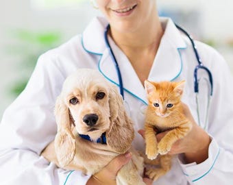 Guide to Pet Care