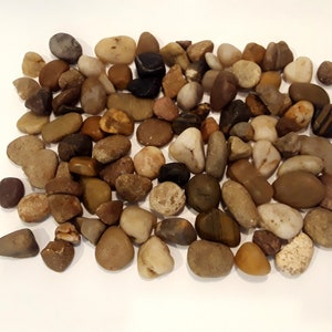 River rocks pebbles multi color | 16 oz. | natural colors | decorative | vase filler | aquarium rocks | garden rocks | fountain rocks |