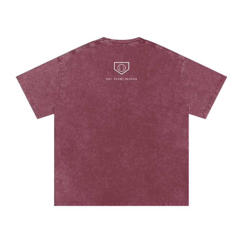 Softball Dad Est. Every Season Tee image 2