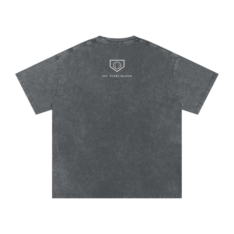 Softball Dad Est. Every Season Tee image 8