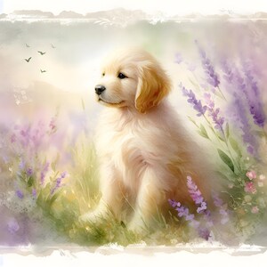 Puede incluir: Pintura a la acuarela de un cachorro de golden retriever sentado en un campo de lavanda. El cachorro tiene un pelaje color crema y mira hacia un lado. Flores de lavanda moradas y hierba verde rodean al cachorro, con pájaros en el fondo.
