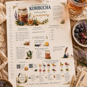 May include: A printed educational worksheet titled The Food Ways Collection Kombucha A Living Elixir, featuring botanical illustrations, calligraphy practice lines, grammar challenges, and informational text about kombucha fermentation processes.