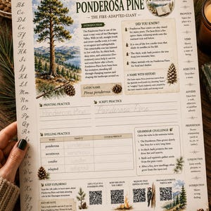 Naturstudie av Ponderosatall | Utskrivbara fältanteckningar för hemundervisning | Okanagan naturenhet | Brandekologi | Charlotte Mason | Naturjournal |
