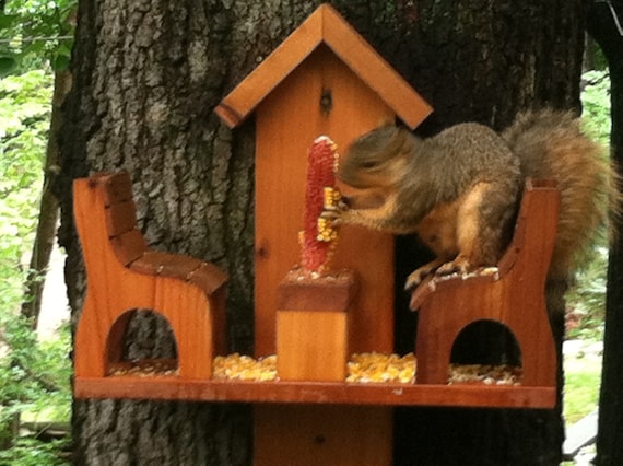 Western Red Cedar Squirrel Feeder Etsy