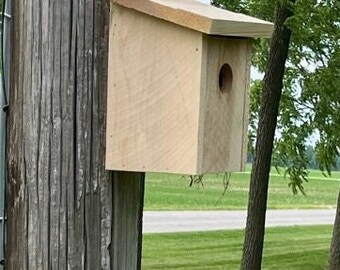 Cedar Bluebird House