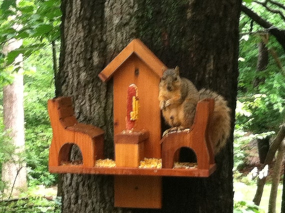 Western Red Cedar Squirrel Feeder Etsy