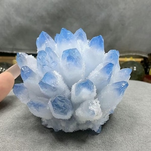 Op de afbeelding: Een cluster van kristalpunten met een kleurverloop van ondoorzichtig wit aan de basis naar een doorschijnend, levendig blauw bij de punten. De mineraalformatie heeft een getextureerd, bevroren oppervlak met scherpe, grillige randen over de structuur.