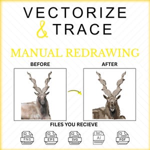 May include: A graphic design service advertisement titled VECTORIZE & TRACE MANUAL REDRAWING. It displays a before and after comparison of a markhor goat image, with a yellow arrow pointing right. Icons for PNG, EPS, SVG, AI, and PDF files are below.