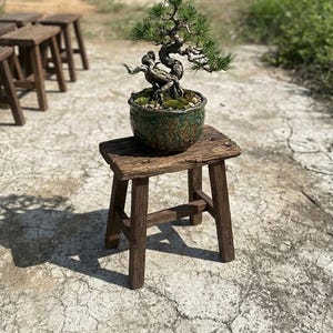 Pode incluir: Um pequeno banco de madeira castanho-escuro com um tampo retangular e quatro pernas, apresentando uma textura desgastada. Um vaso de cerâmica verde texturizado contendo um pequeno bonsai de pinheiro retorcido repousa sobre o banco.