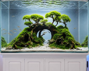 Cueva natural de madera flotante para bonsáis de acuarios, decoración para peceras grandes con elementos de paisajismo duro.