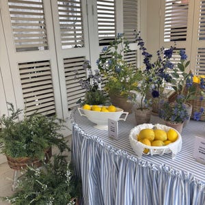 Pode incluir: Uma mesa coberta com uma toalha de riscas azuis e brancas apresenta uma taça de cerâmica branca cheia de limões amarelos, uma terrina de cerâmica branca com limões e várias flores azuis e plantas verdes em cestos de vime.