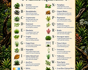 May include: An educational poster titled The ABCs of Fishkeeping Planted Aquariums, featuring an alphabetical list from A to Z of aquatic plants and aquarium terms with small illustrations and brief descriptions for each entry on a cream background.