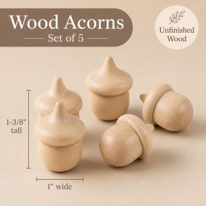 Pu&ograve; includere: Un set di cinque ghiande in legno grezzo. Ogni pezzo presenta una venatura del legno naturale chiara e liscia. Le ghiande misurano 3,49 cm di altezza e 2,54 cm di larghezza, come indicato dalle linee di misurazione. Il testo Wood Acorns Set of 5 &egrave; visibile.