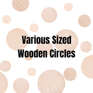 QTY 1- Wooden Circles, Various Sizes, Circle Cutouts, Wooden Circles, Wood Disc, Wood Coins, Maple Wood Circles, Small Circles, Kids Craft