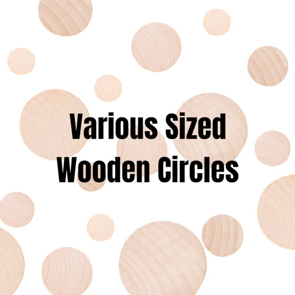 QTY 1- Wooden Circles, Various Sizes, Circle Cutouts, Wooden Circles, Wood Disc, Wood Coins, Maple Wood Circles, Small Circles, Kids Craft