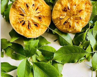 May include: Two halves of a round, golden-yellow wood apple fruit with a fibrous, seeded interior, resting atop a bed of fresh green trifoliate leaves. A small square logo in the corner features the text Forest Key and a key illustration.