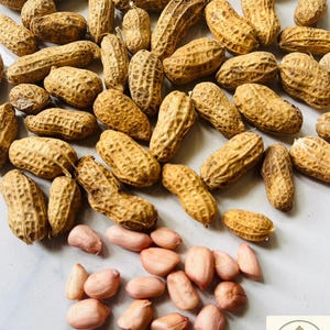 Peut inclure: Une collection de cacahuètes brutes dans leurs coques fibreuses, texturées et de couleur beige, dispersées à côté d'un groupe de cerneaux de cacahuètes décortiqués, de couleur brun rosé clair. Un logo carré affiche une clé et Forest Key.
