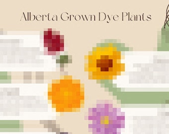Cuadro informativo sobre plantas colorantes cultivadas en jardines comunes para impresión ecológica