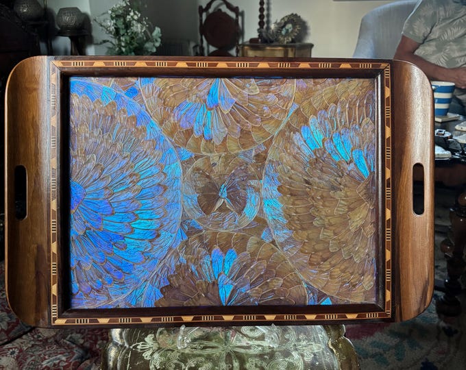 Carlos Zipperer Attributed Brazilian Morpho Butterfly Wing Marquetry Tray 1930s